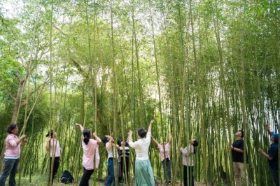 竹森活聽竹竹林步道(林業及自然保育署 花蓮分署提供)